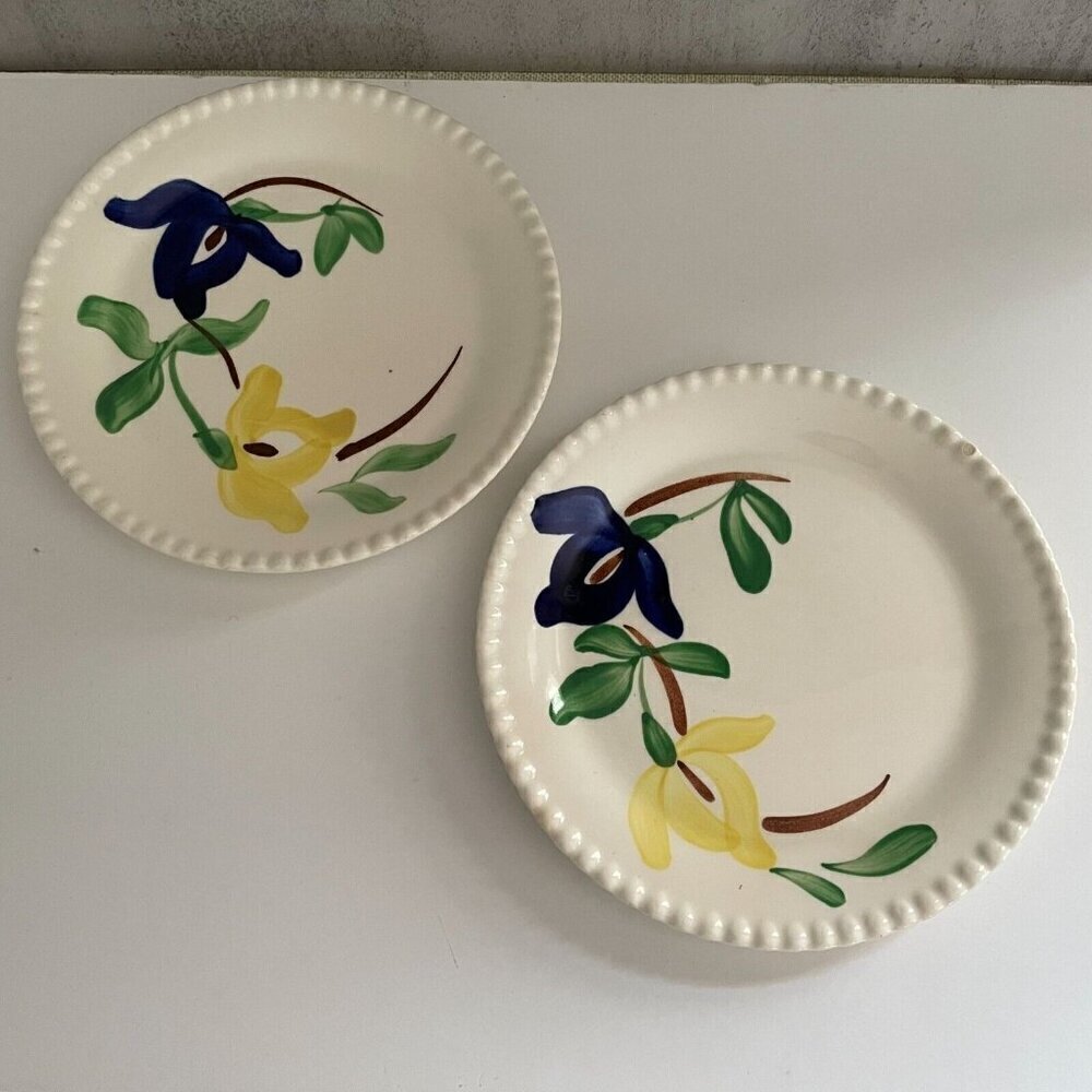 Blue Ridge Southern Pottery Carnival Hand Painted Floral Set/2 Bread 6" Plates
